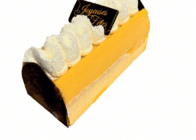 Bûche Passion mangue